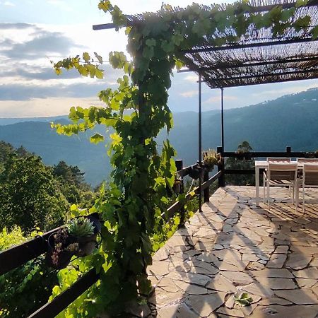 Casa Da Vina - Ribeira Sacra Villa Nogueira De Ramuin Kültér fotó