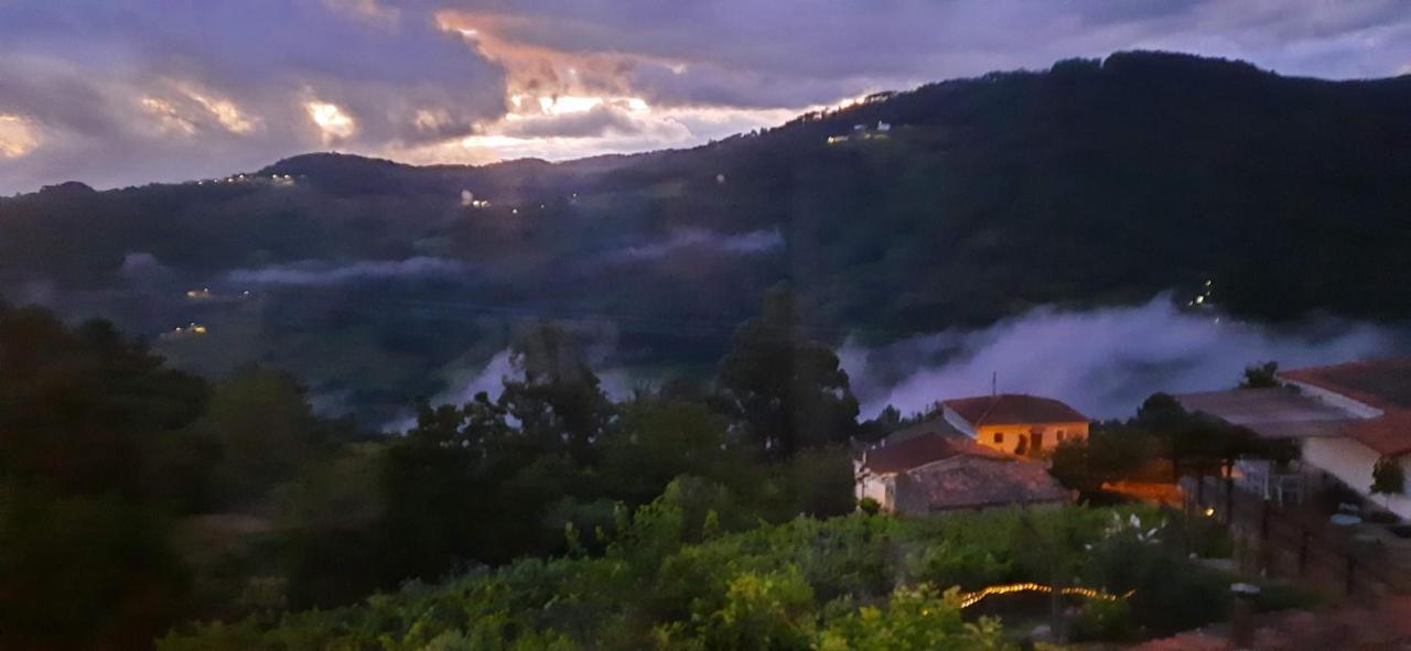 Casa Da Vina - Ribeira Sacra Villa Nogueira De Ramuin Kültér fotó