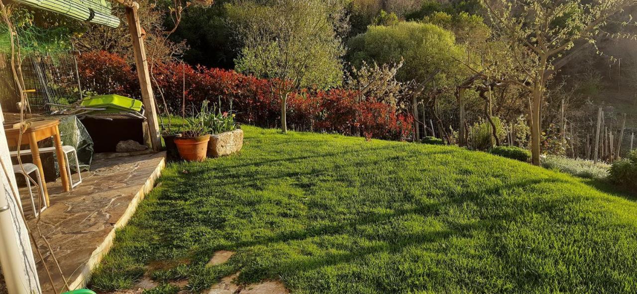 Casa Da Vina - Ribeira Sacra Villa Nogueira De Ramuin Kültér fotó