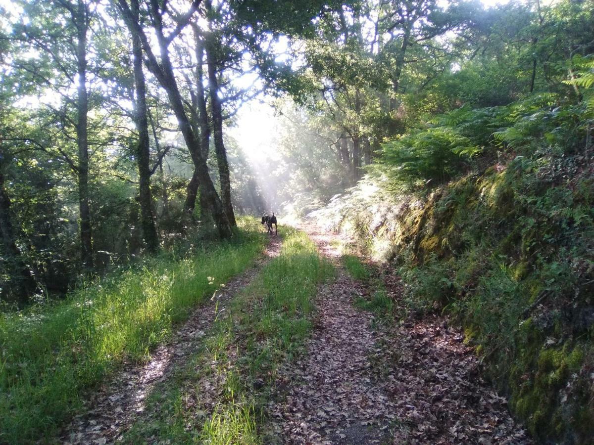 Casa Da Vina - Ribeira Sacra Villa Nogueira De Ramuin Kültér fotó