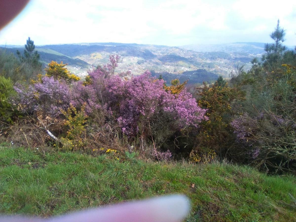 Casa Da Vina - Ribeira Sacra Villa Nogueira De Ramuin Kültér fotó