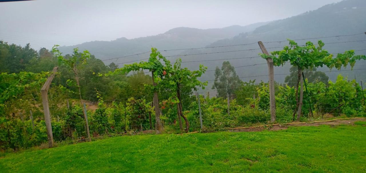 Casa Da Vina - Ribeira Sacra Villa Nogueira De Ramuin Kültér fotó