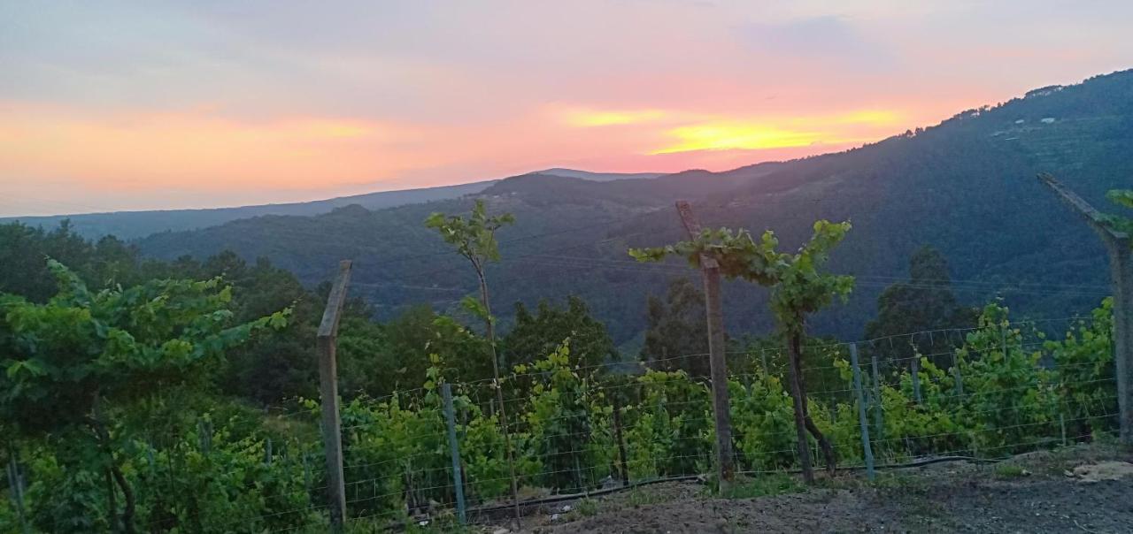 Casa Da Vina - Ribeira Sacra Villa Nogueira De Ramuin Kültér fotó