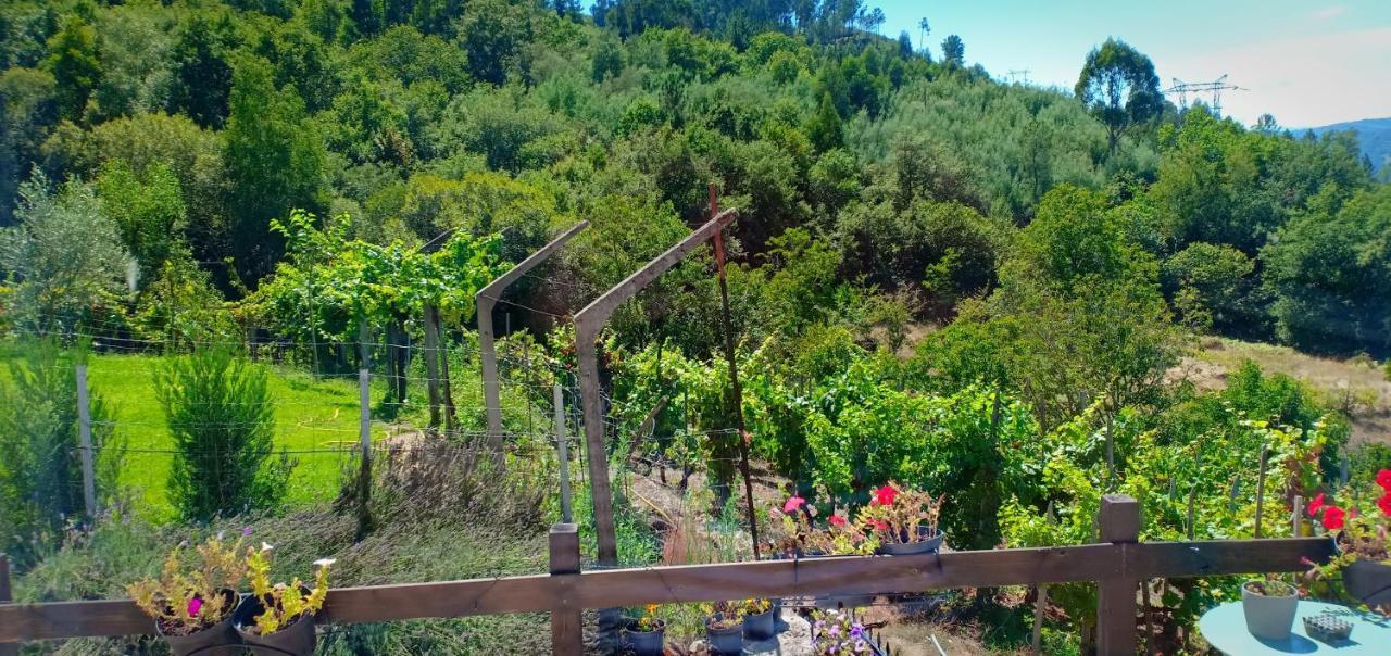 Casa Da Vina - Ribeira Sacra Villa Nogueira De Ramuin Kültér fotó